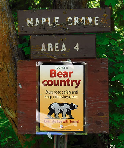 bear country